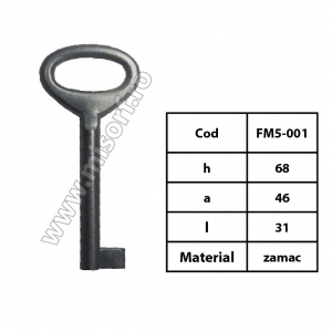 FM5-001